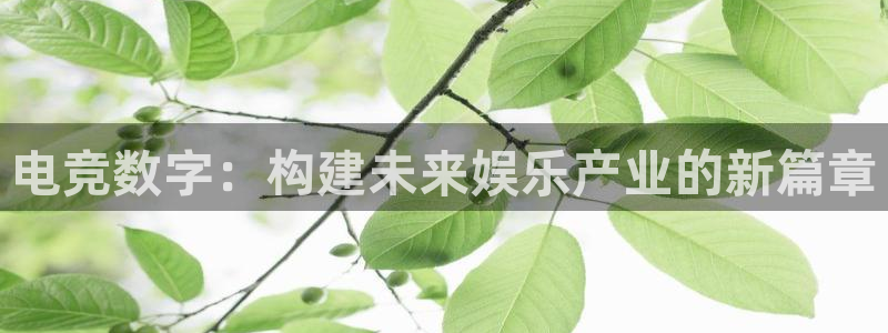 蜂鸟电竞app官方下载：电竞数字：构建未来娱乐产业的新篇章