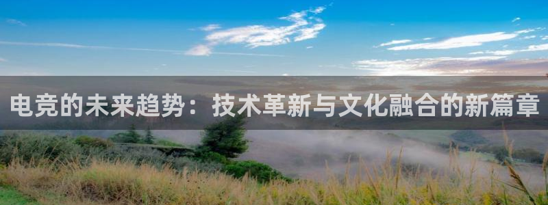 蜂鸟电竞怎么押注：电竞的未来趋势：技术革新与文化融合的新篇章