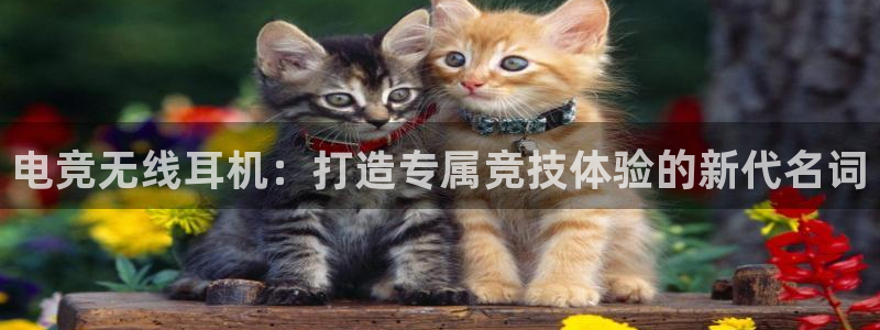 蜂鸟电竞怎么注册：电竞无线耳机：打造专属竞技体验的新代名词