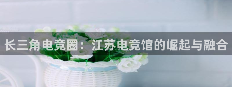 蜂鸟电竞怎么押注：长三角电竞圈：江苏电竞馆的崛起与融合