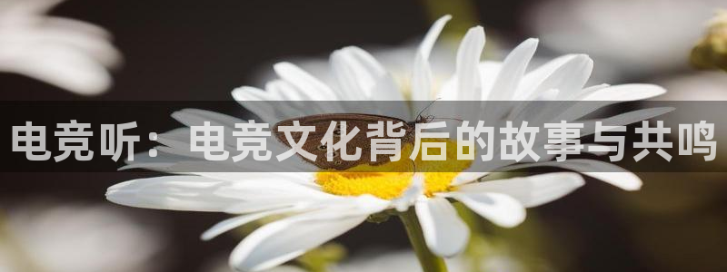 蜂鸟电竞怎么发布方案：电竞听：电竞文化背后的故事与共鸣