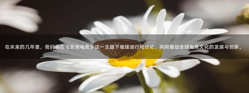 蜂鸟电竞酒店：在未来的几年里，我们将在《非洲电竞》这一主题下继续进行和讨论，共同推动全球电竞文化的发展与创新。