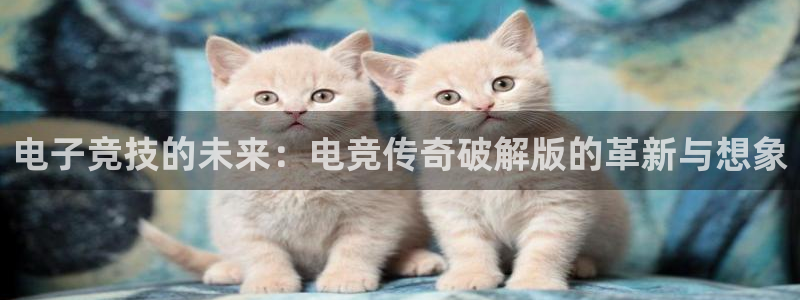 蜂鸟电竞app官网：电子竞技的未来：电竞传奇破解版的革新与想象