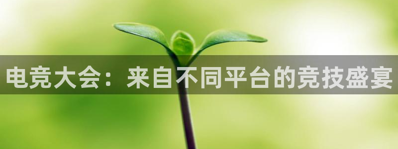 蜂鸟电竞酒店：电竞大会：来自不同平台的竞技盛宴