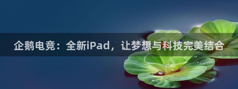 蜂鸟电竞怎么押注：企鹅电竞：全新iPad，让梦想与科技完美结合