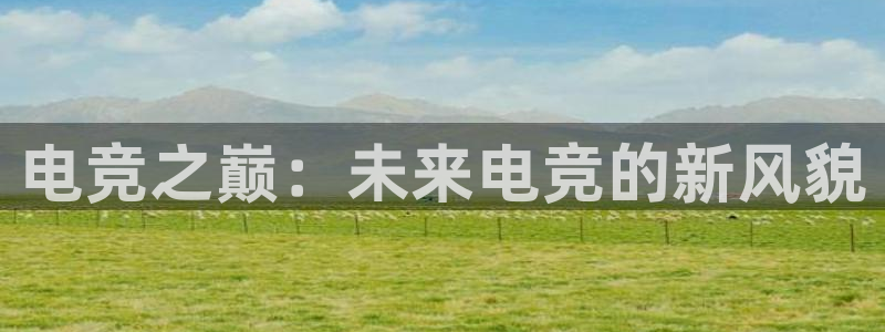蜂鸟电竞网页版：电竞之巅：未来电竞的新风貌