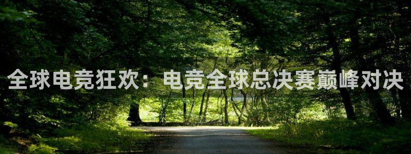 蜂鸟电竞酒店：全球电竞狂欢：电竞全球总决赛巅峰对决