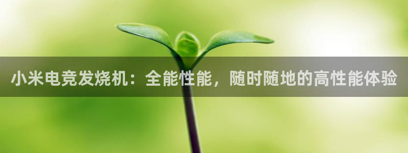 蜂鸟电竞：小米电竞发烧机：全能性能，随时随地的高性能体验