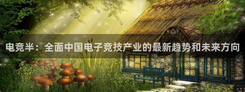 蜂鸟电竞怎么注册：电竞半：全面中国电子竞技产业的最新趋势和未来方向