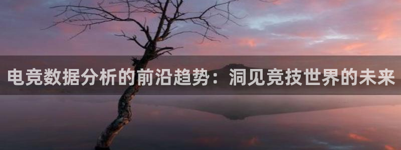 蜂鸟电竞怎么看直播：电竞数据分析的前沿趋势：洞见竞技世界的未来