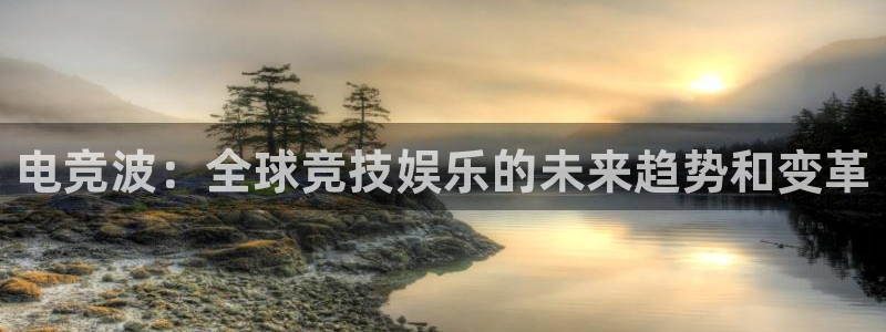 蜂鸟电竞多少钱一小时：电竞波：全球竞技娱乐的未来趋势和变革